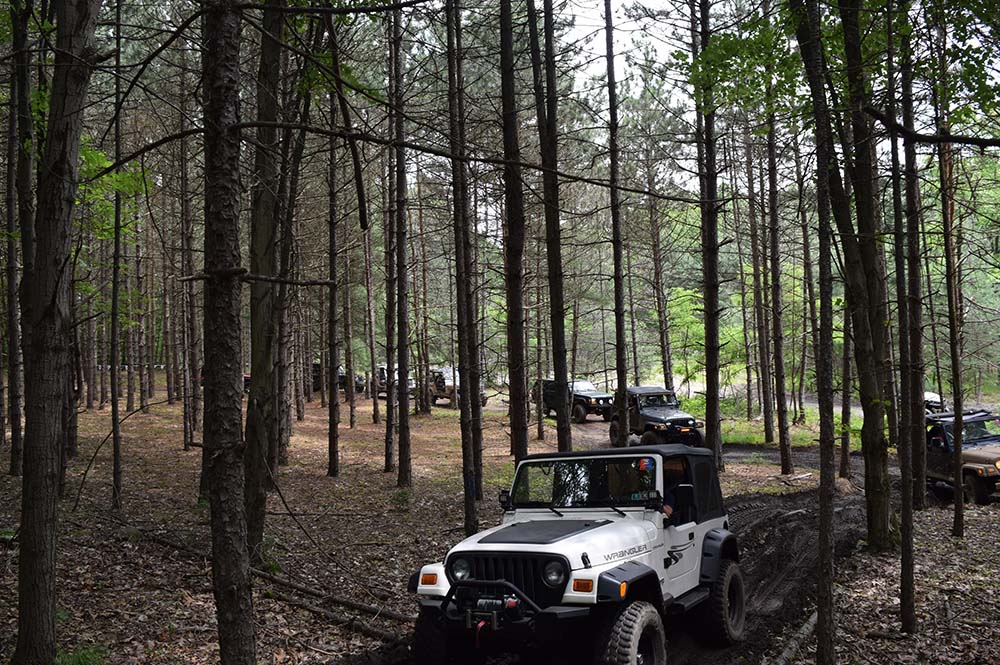 Jeeps in the woods