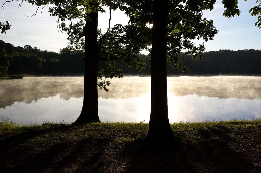 Lake Morning Fog
