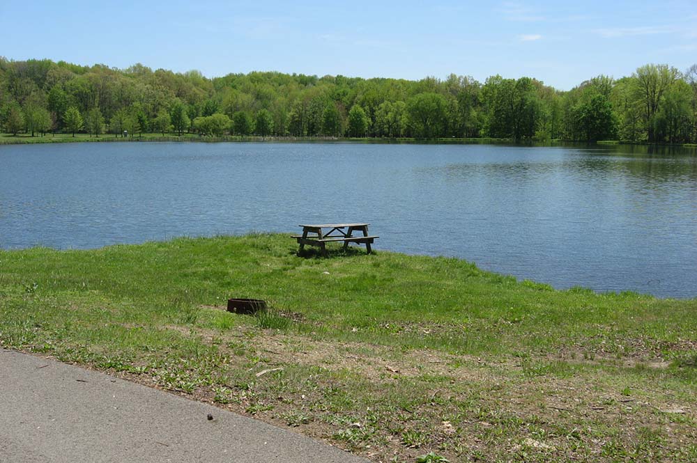 Picnic Table at Lake